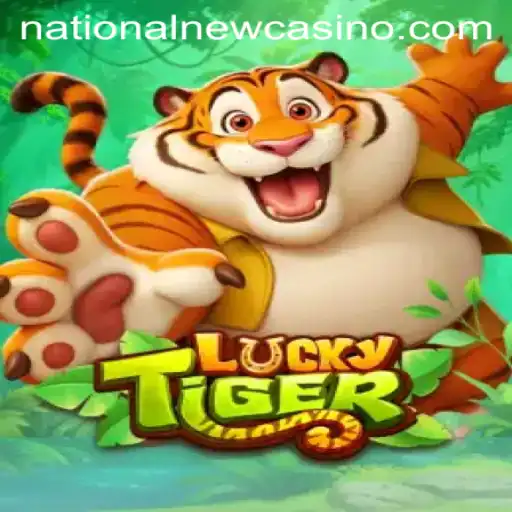 Introduction to LuckyTiger: A Spin at the National Casino